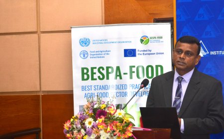 Sri Lanka's Coconut Industry Unites to reach $2 Bn Export Target under European Union Backed 10-Year Strategic Plan