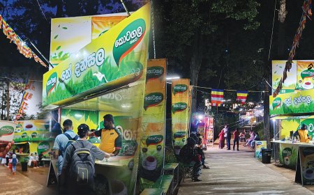 Kotagala Kahata Brings Warmth to Adam’s Peak with Tea Dansala
