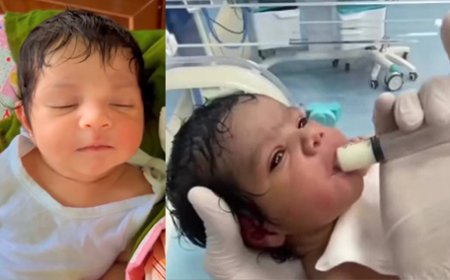 குருணாகல் வயல் வெளியில் மீட்கப்பட்ட சிசுவின் வீடியோவா ? 