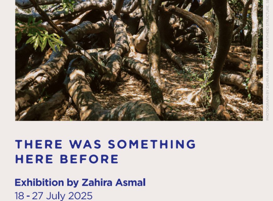 There Was Something Here Before – Exhibition by Zahira Asmal