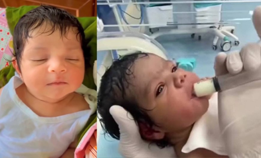 குருணாகல் வயல் வெளியில் மீட்கப்பட்ட சிசுவின் வீடியோவா ? 