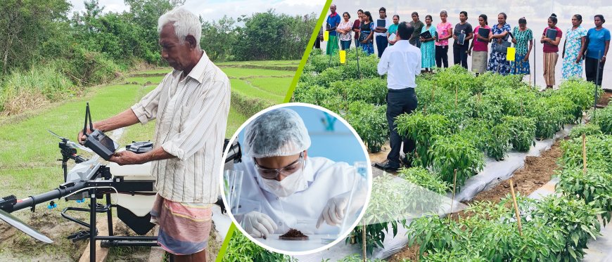 விவசாயிகளை விவசாய தொழில்முயற்சியாளராக மாற்றும் DIMO Agribusinesses