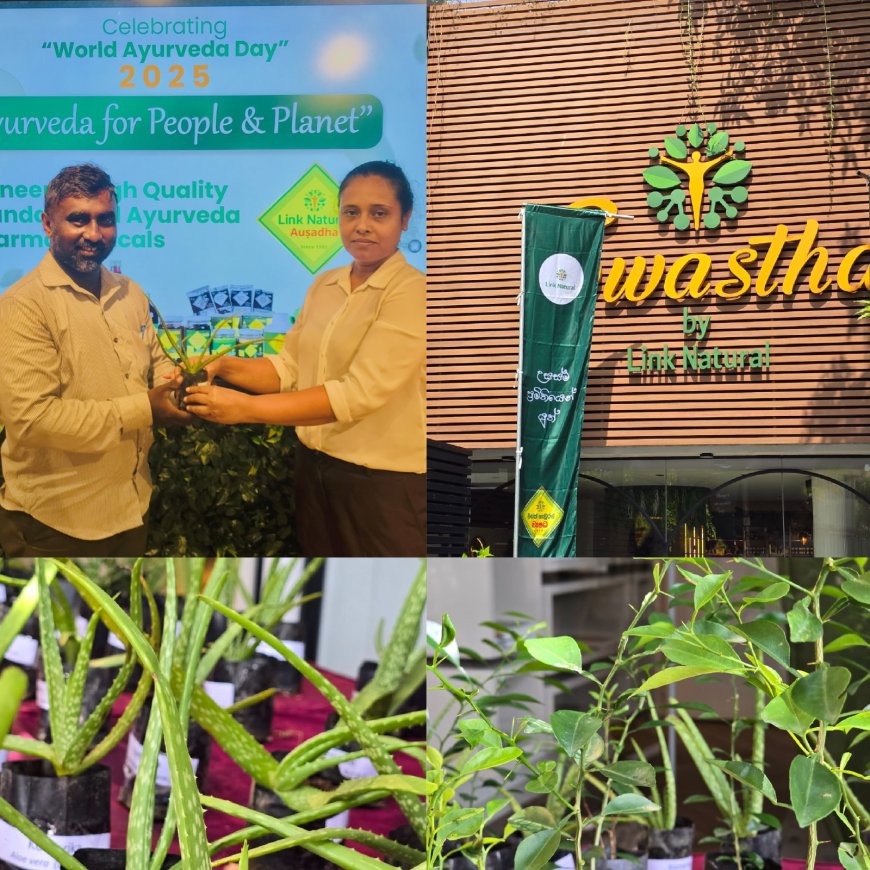 මිනිසා සහ මිහිකත වෙනුවෙන් ආයුර්වේදය