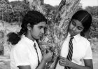 இலங்கையில் திரையிடப்படவுள்ளது கெஹனு லமய்