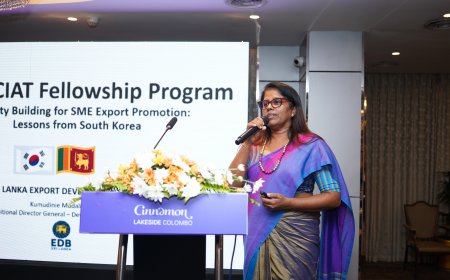 KOICA and AKOFE Empower Recent Fellows through Knowledge Sharing and Networking
