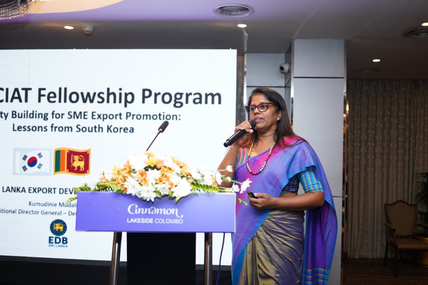 KOICA and AKOFE Empower Recent Fellows through Knowledge Sharing and Networking