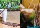 පරිසරය රකින පොල් කොළ බීම බට