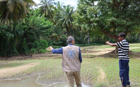 Placing Smallholder Farmers and Fishers at the Centre of Cyclone Ditwah Recovery - Statement by Vimlendra Sharan, FAO Representative for Sri Lanka and the Maldives