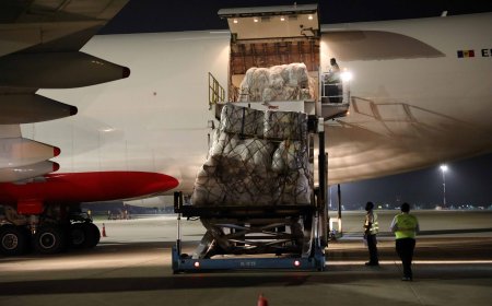 MSF Supports Sri Lanka Flood Relief with Delivery of Winterized Tents to Disaster Management Center