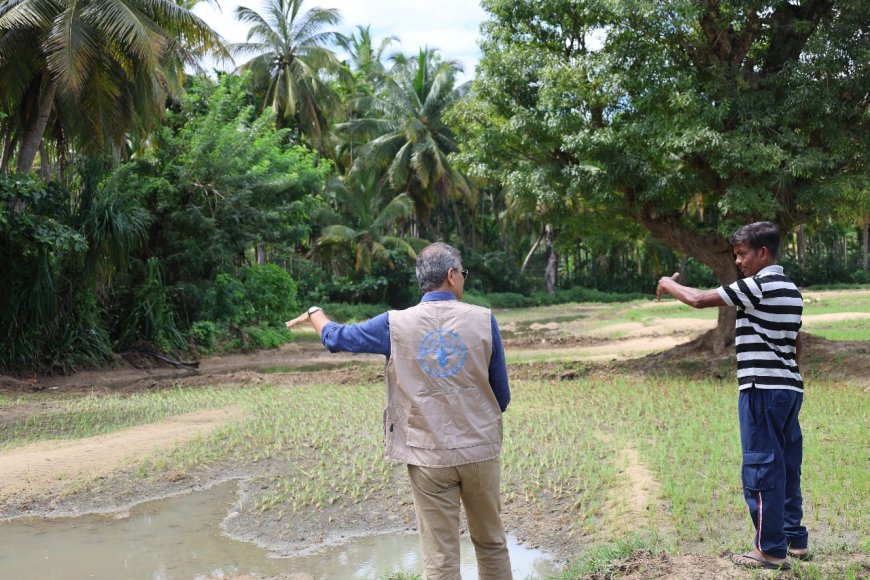 Placing Smallholder Farmers and Fishers at the Centre of Cyclone Ditwah Recovery - Statement by Vimlendra Sharan, FAO Representative for Sri Lanka and the Maldives