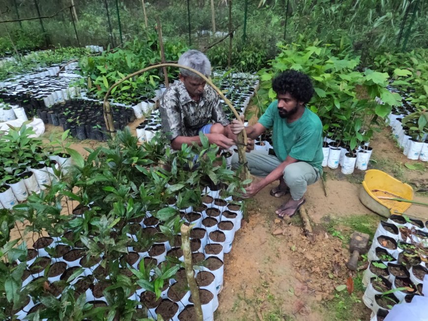 இலங்கை தேயிலைத் தோட்டங்களில் பல்லுயிர் பாதுகாப்பில் முன்னணி முயற்சிகள்