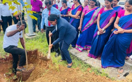 இலங்கையின் மூன்று பிராந்தியங்களில் சுதந்திர தின மரநடுகை – 350 பேரின் பங்கேற்பு