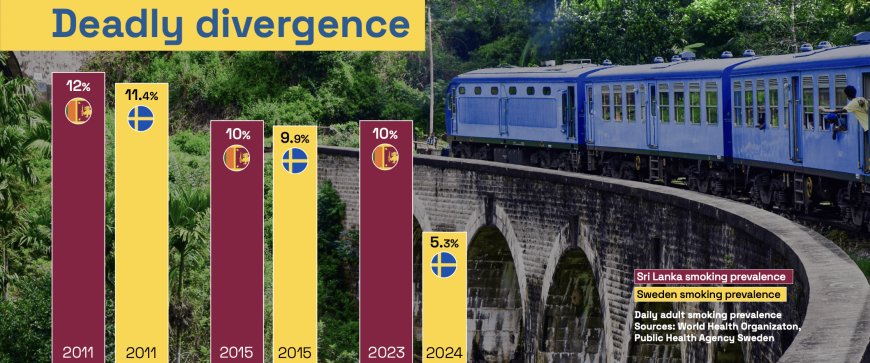Report Warns Sri Lanka’s Restrictive Nicotine Policies Could Cost 85,000 Lives