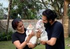 TikTok மூலம் பூனைகள் கைவிடப்படுவதைத் தடுக்க விழிப்புணர்வு ஏற்படுத்தும் CocoBunny Family
