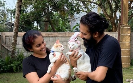 TikTok மூலம் பூனைகள் கைவிடப்படுவதைத் தடுக்க விழிப்புணர்வு ஏற்படுத்தும் CocoBunny Family