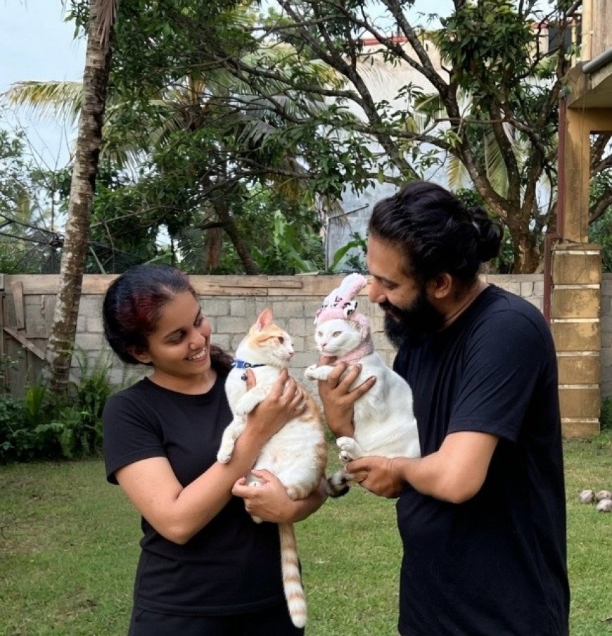TikTok மூலம் பூனைகள் கைவிடப்படுவதைத் தடுக்க விழிப்புணர்வு ஏற்படுத்தும் CocoBunny Family