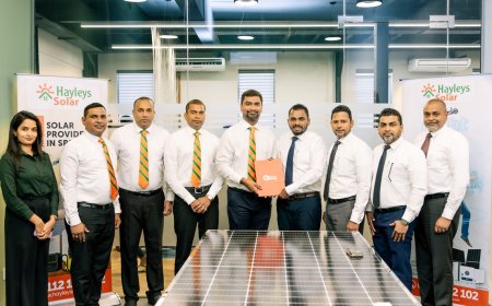 Hayleys Solar and PMF Finance Partner to Offer Flexible Solar Financing in Sri Lanka