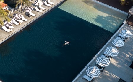 The Quiet Work Behind Sun Siyam’s Reefs, Forests and Elephants