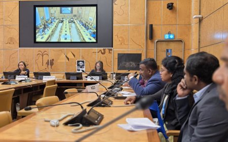 Key discussion held with UN Working Group on Enforced or Involuntary Disappearances in Geneva