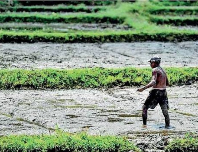 எல் நினோ நிலையைத் தாண்டி: இலங்கையின் எதிர்காலத்திற்கான காலநிலைத் தாங்குதிறன் கொண்ட பெருந்தோட்டத் துறையை உருவாக்குதல்